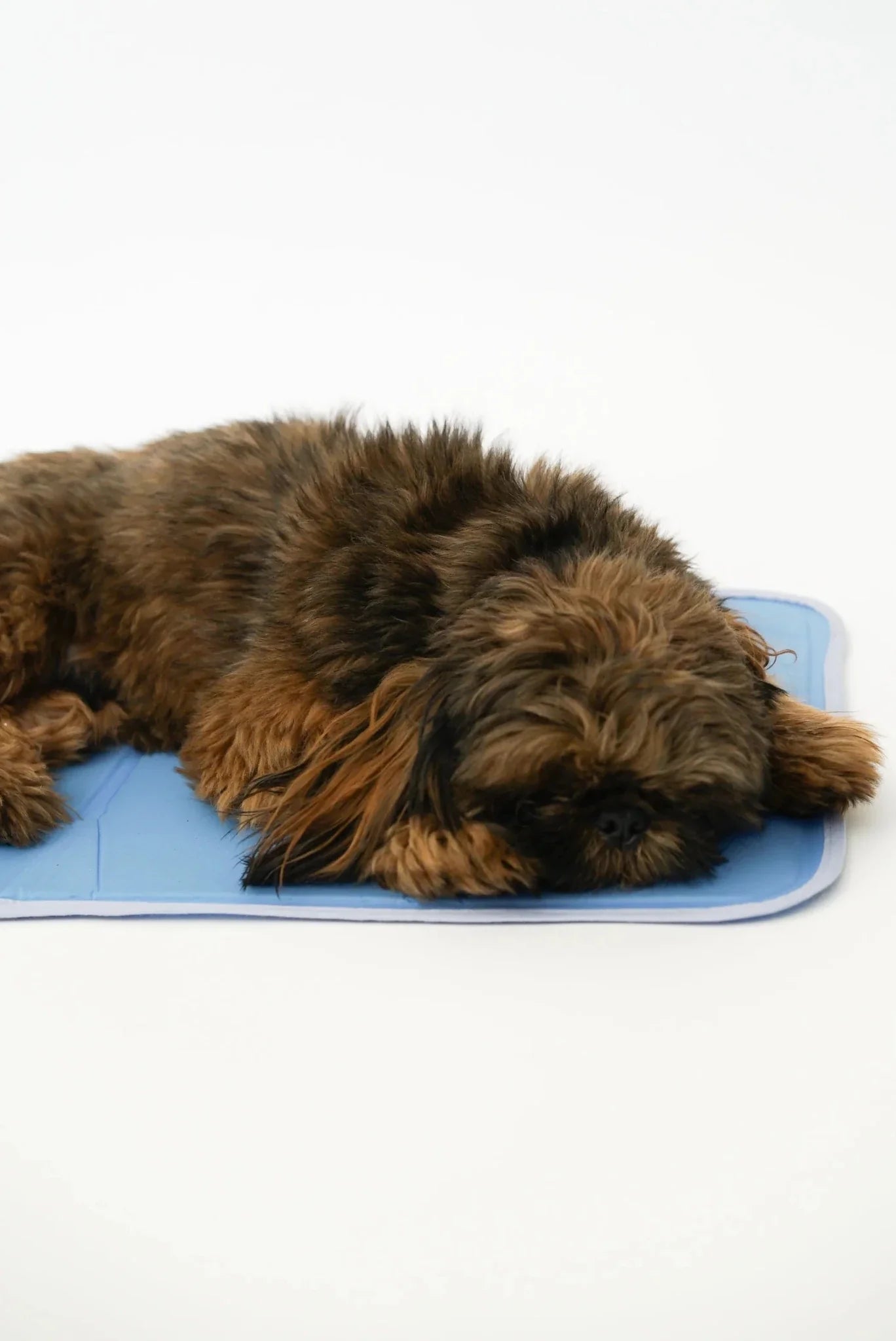 Cool Pet Pad - Clinch River Fishing USA