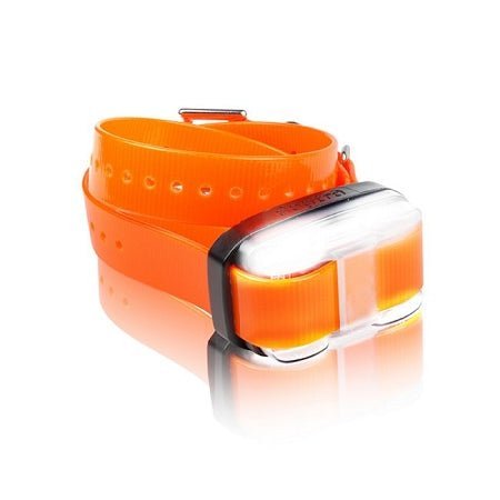 Dogtra EDGE 1 Mile Extra Collar - Orange - Clinch River Fishing USA