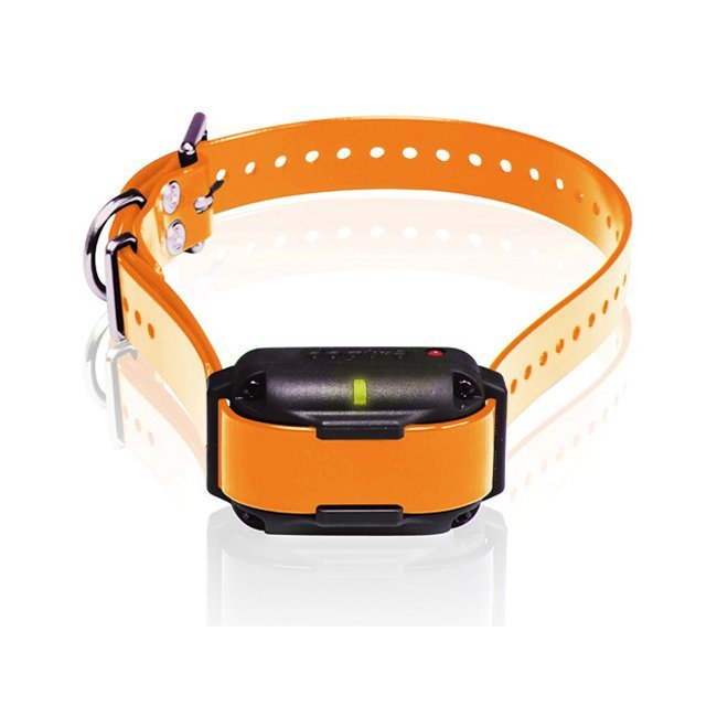 Dogtra Edge RT Trainer Extra Collar - Orange - Clinch River Fishing USA