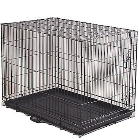 Economy Dog Crate - Extra Small - Clinch River Fishing USA