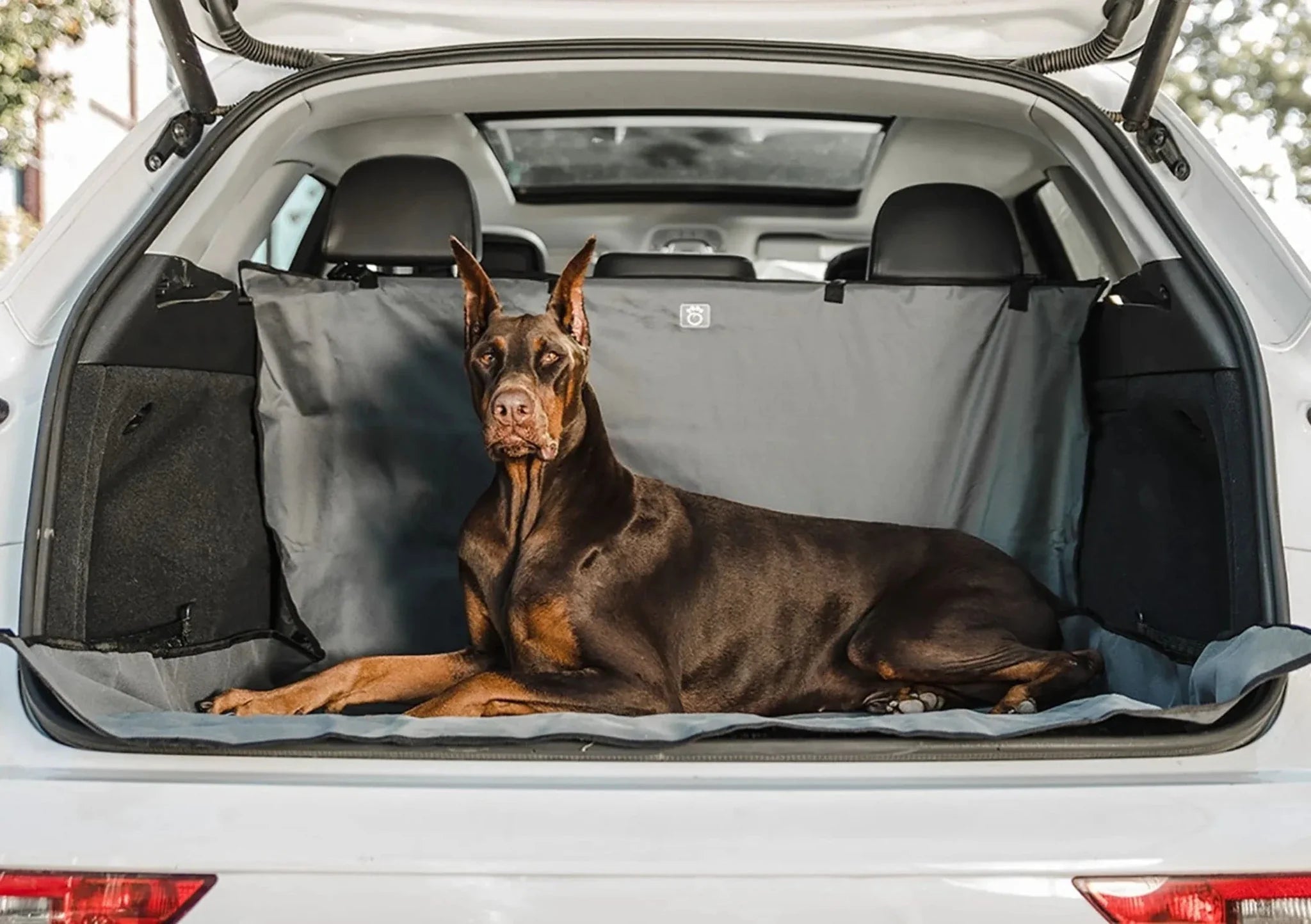 GF Pet Pet Cargo Cover - Clinch River Fishing USA