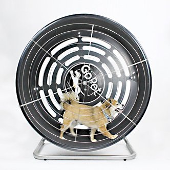 GoPet TreadWheel For Small Dogs - Clinch River Fishing USA