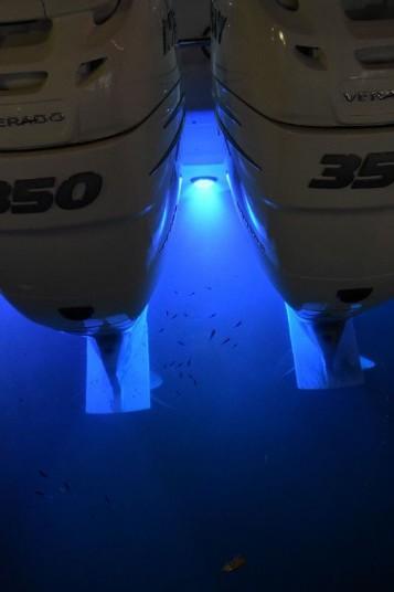 LUMITEC SeaBlaze Mini LED Underwater Light