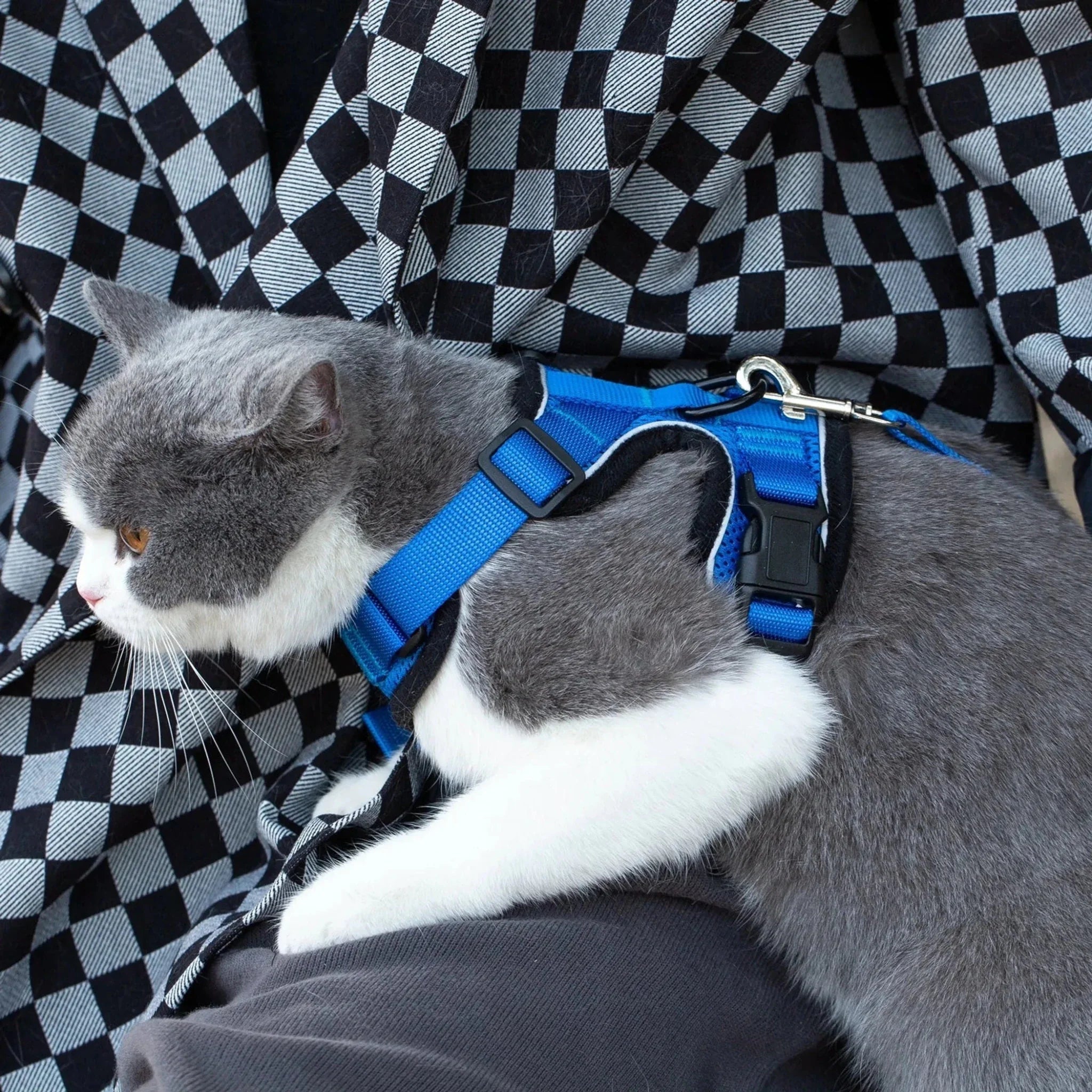 Mr. Peanut's PurrTrek Reflective Cat Harness with Matching Leash - Clinch River Fishing USA