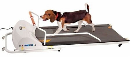 PetRun PR720F Dog Treadmill - Clinch River Fishing USA