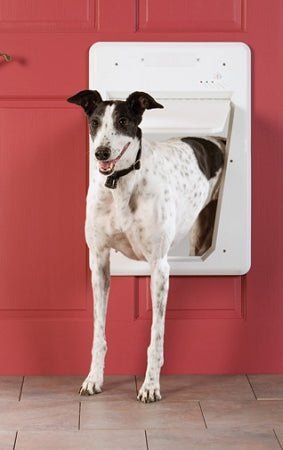 PetSafe Electronic Pet Door - Large - PPA11-10709 - Clinch River Fishing USA