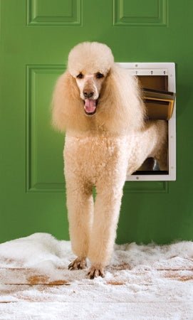 PetSafe Extreme Weather Pet Door - Large - Clinch River Fishing USA