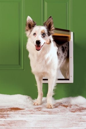 PetSafe Extreme Weather Plastic Frame Dog & Cat Door - Medium - PPA00-10985 - Clinch River Fishing USA