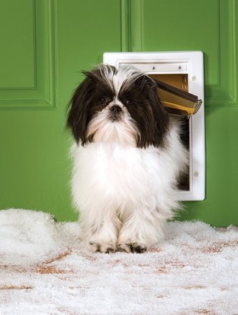 PetSafe Extreme Weather Plastic Frame Dog & Cat Door - Small - PPA00-10984 - Clinch River Fishing USA