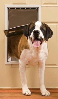 PetSafe Freedom Pet Door - Extra Large - Clinch River Fishing USA