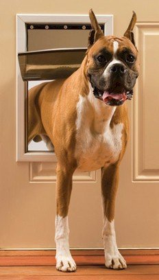 PetSafe Freedom Pet Door - Large - Clinch River Fishing USA