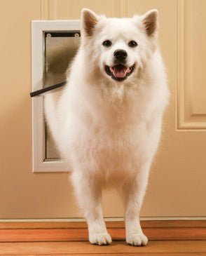 PetSafe Freedom Pet Door - Medium - PPA00-10860 - Clinch River Fishing USA