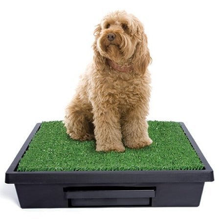 PetSafe Pet Loo Dog Potty Training System - Large - PWM00-14499 - Clinch River Fishing USA