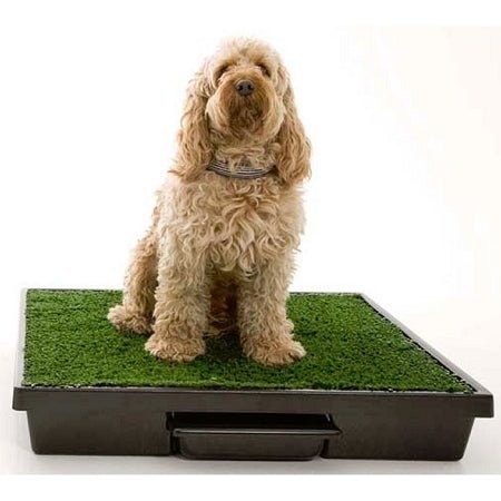 PetSafe Pet Loo Dog Potty Training System - Medium - PWM00-14498 - Clinch River Fishing USA