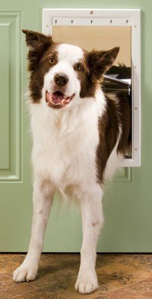PetSafe Plastic Dog Door - Large - PPA00-10960 - Clinch River Fishing USA