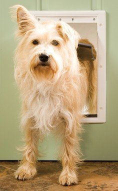PetSafe Plastic Dog Door - Medium - PPA00-10959 - Clinch River Fishing USA