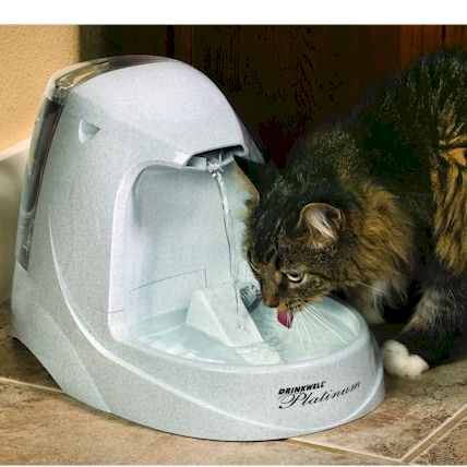 PetSafe Platinum Pet Fountain - PWW00-13703 - Clinch River Fishing USA
