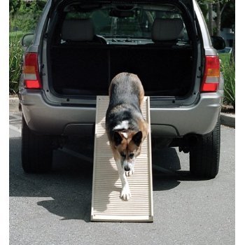 PetStep Folding Dog Ramp - Clinch River Fishing USA