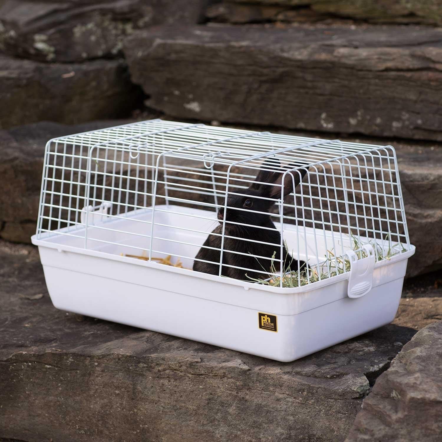 Prevue Pet Products Carina Small Animal Cage - White - Clinch River Fishing USA