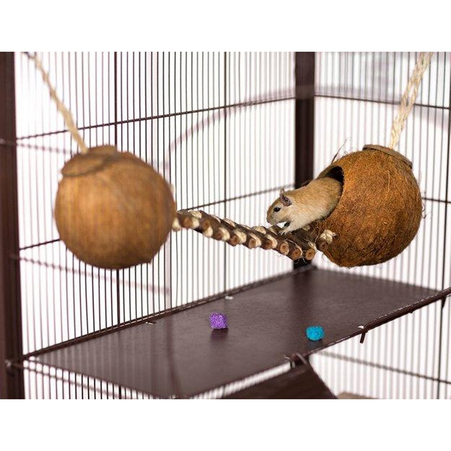 Prevue Pet Products Double Coconut with Ladder - 62818 - Clinch River Fishing USA