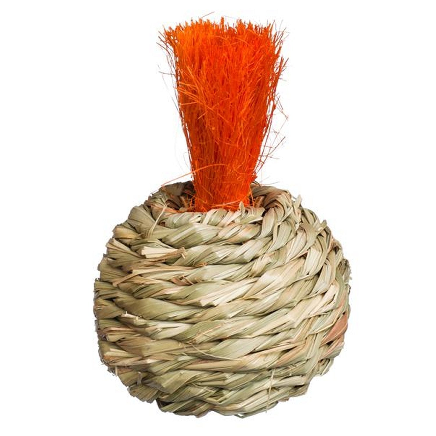 Prevue Pet Products Grassy Nibblers Squash - 1080 - Clinch River Fishing USA