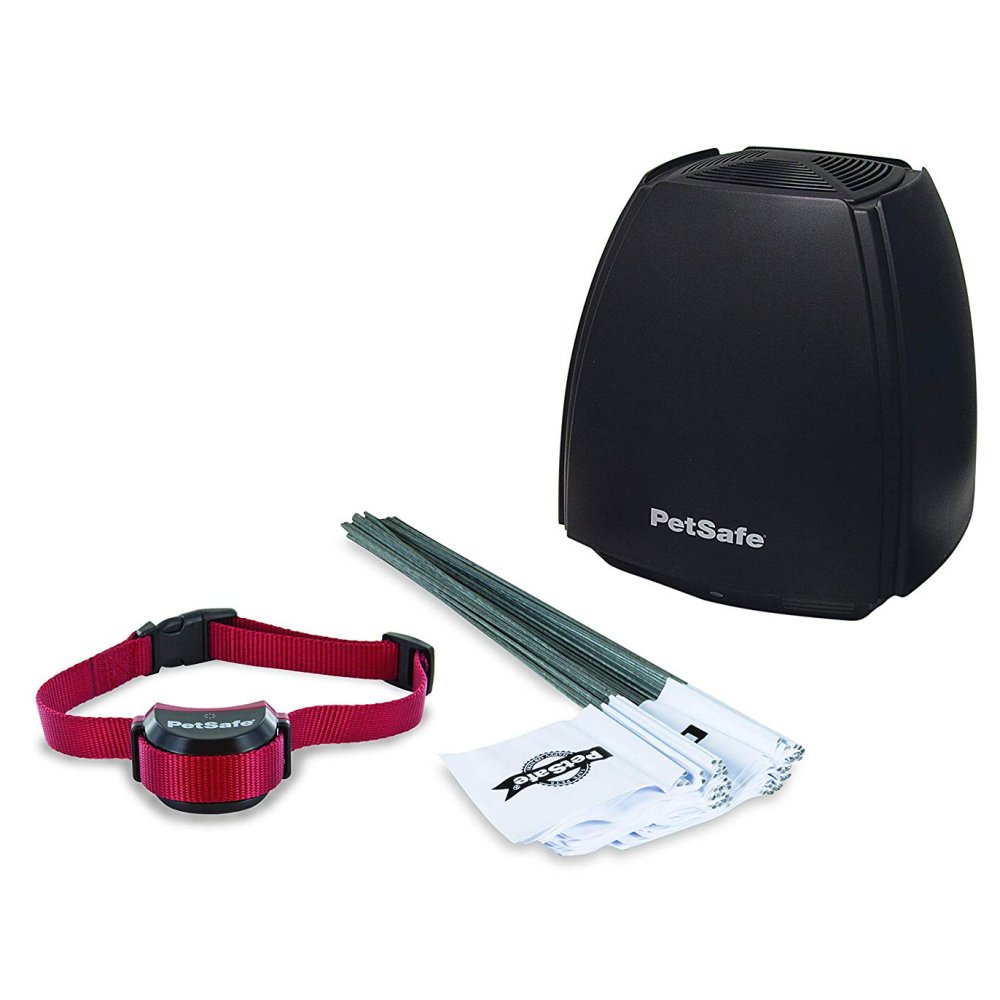 Stay + Play Wireless Fence Stubborn Dog - Clinch River Fishing USA