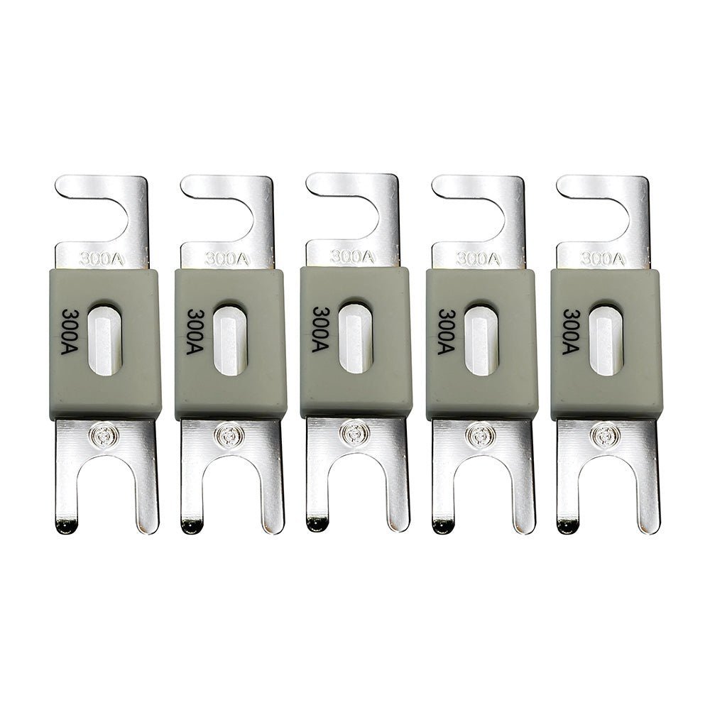 Victron ANL-Fuse 300A/80V f/48V Products (Package of 5) - Clinch River Fishing USA