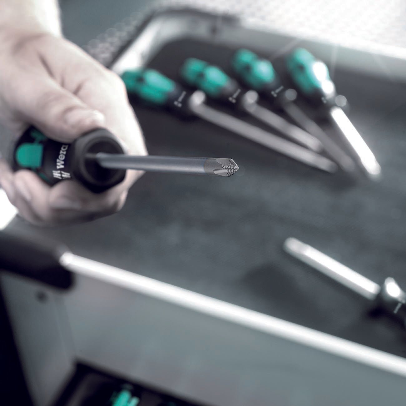 Wera TORX Screwdriver Set with Hold Function and Rack (6 - Piece Set) - Clinch River Fishing USA