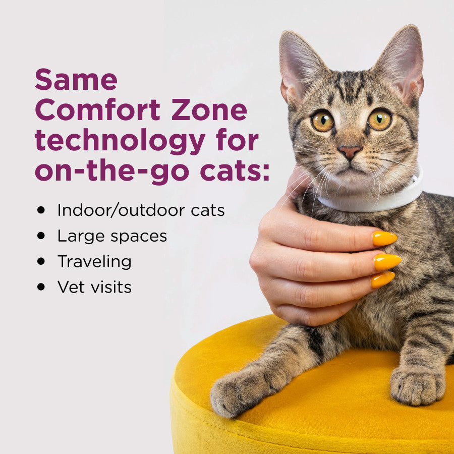 Comfort Zone Calming Collar for Cats