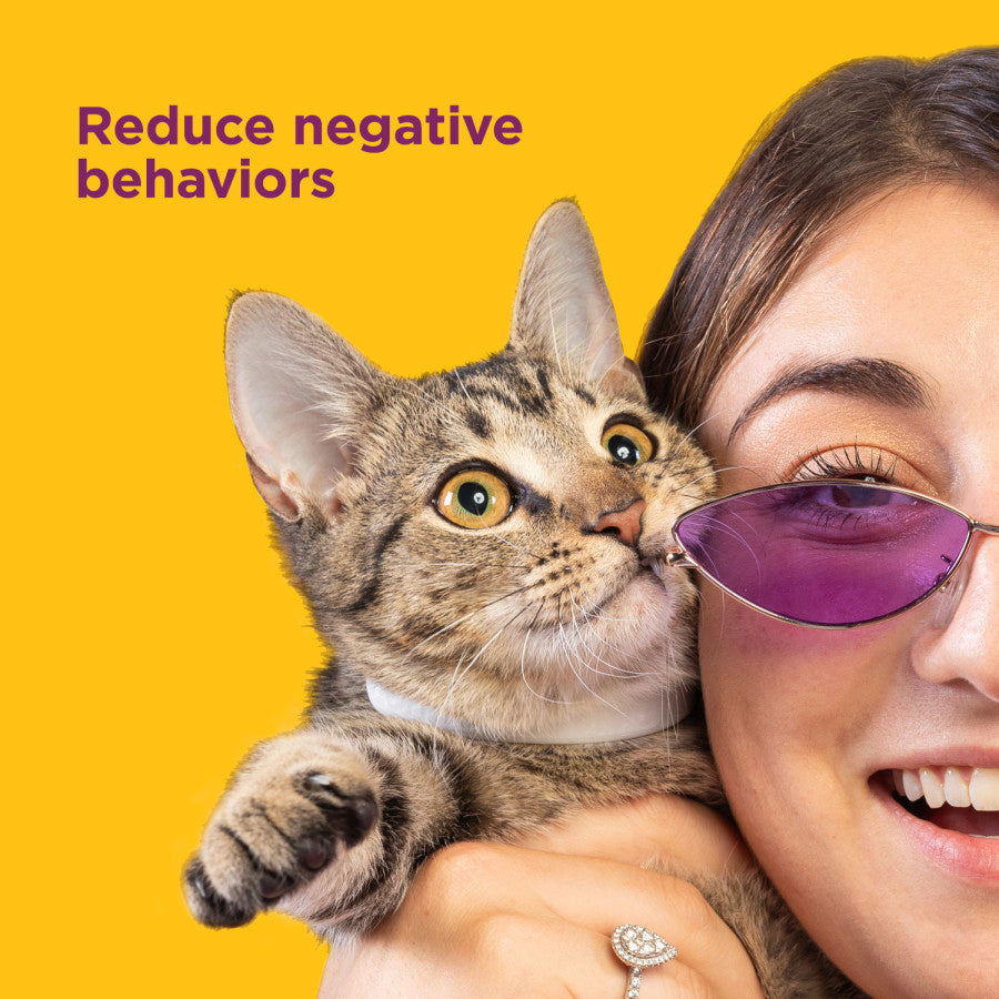 Comfort Zone Calming Collar for Cats