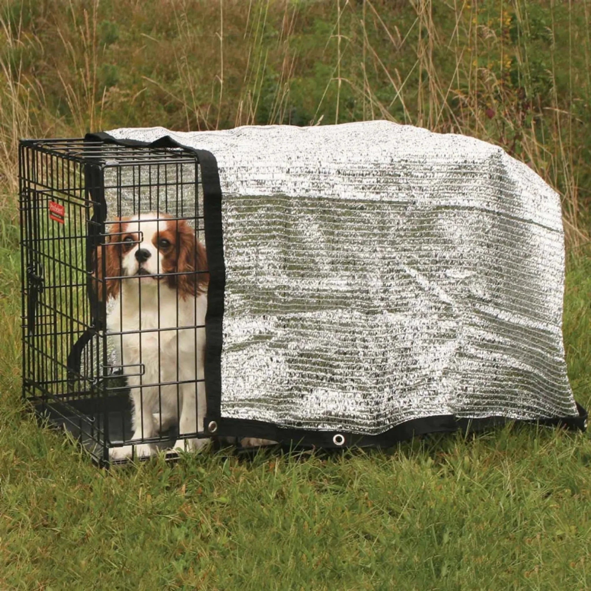10x12Ft Dog Exercise Pen with PS Solar Canopy - Clinch River Fishing USA