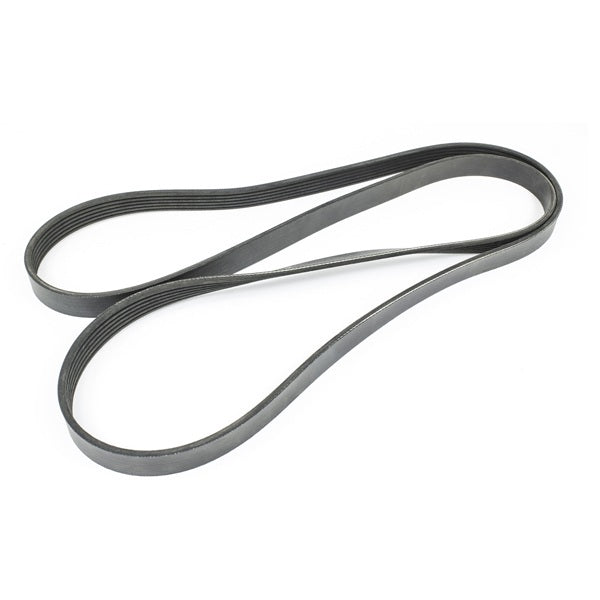 Sierra Serpentine Belt