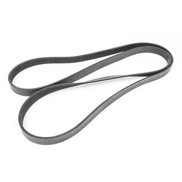 Sierra Serpentine Belt