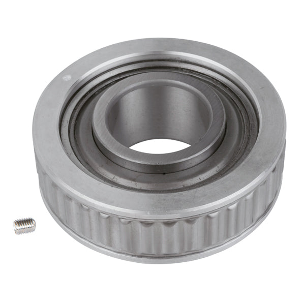 Sierra Gimbal Bearing