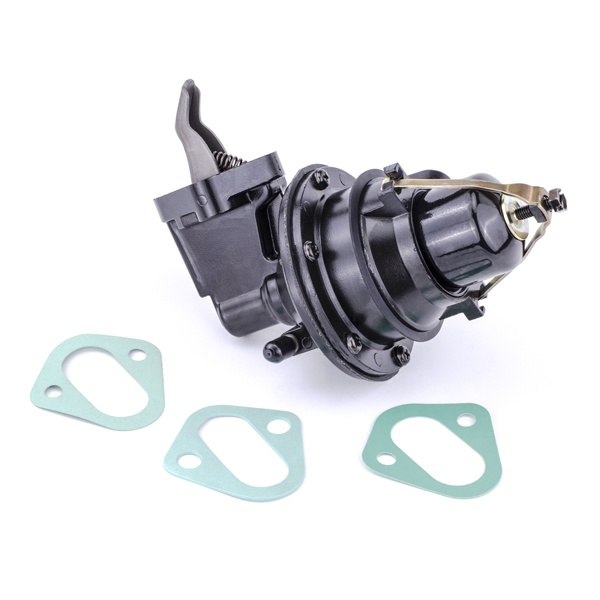 Sierra Fuel Pump