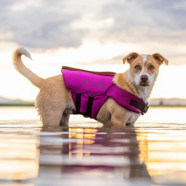Full Throttle Rapid-Dry Pet Vest Purple Large