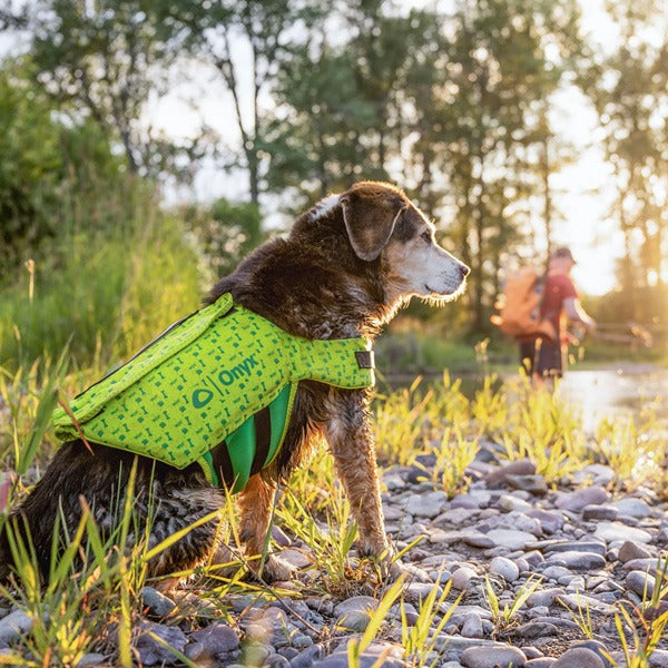 Full Throttle Rapid-Dry Pet Vest Green X-Small