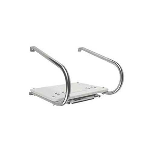 Garelick I/O Platform W/Tele Ladder