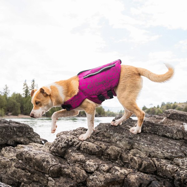 Full Throttle Rapid-Dry Pet Vest Purple XL