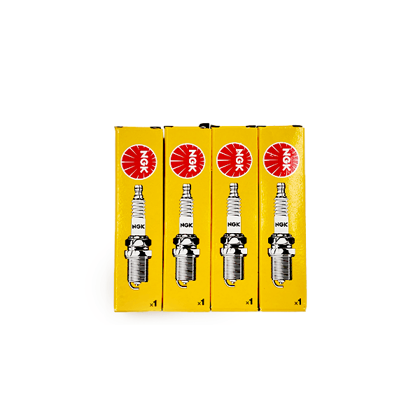 EMP 100 Hour Basic Service Kit