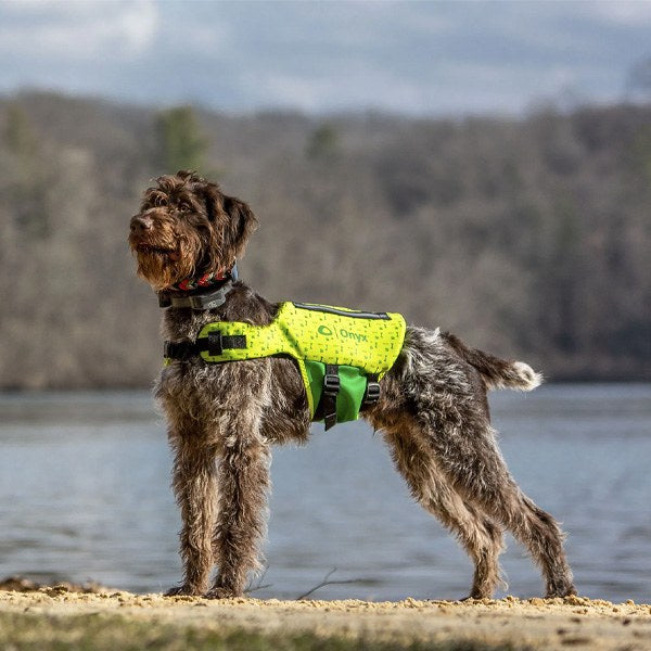 Full Throttle Rapid-Dry Pet Vest Green XL
