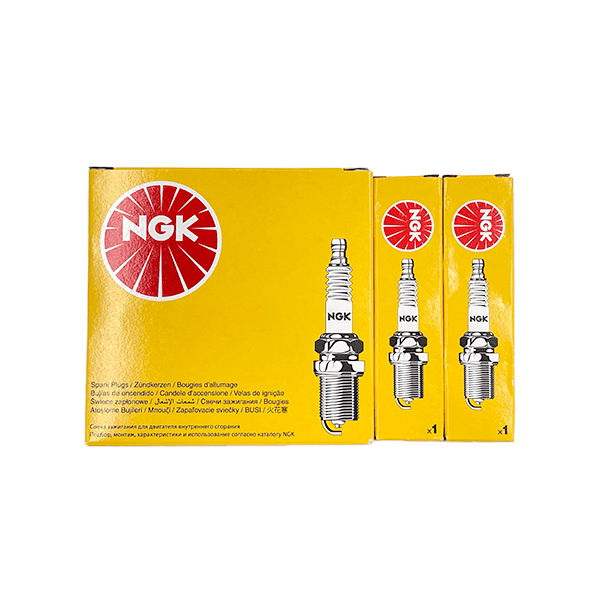 EMP 100 Hour Basic Service Kit