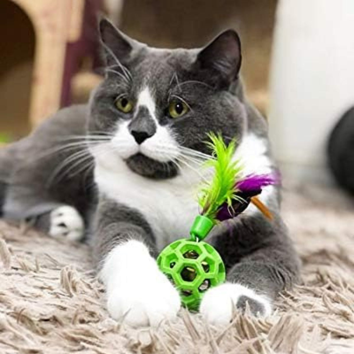 JW Cataction Feather Ball with Bell Cat Toy