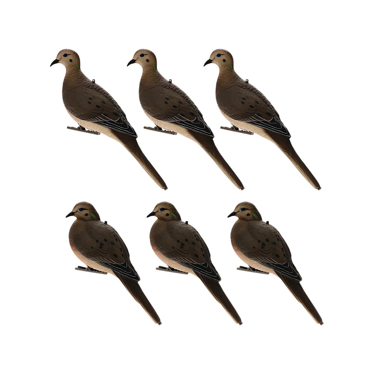 Avian-X AXP Full-Body Dove Decoys (6-Pack)