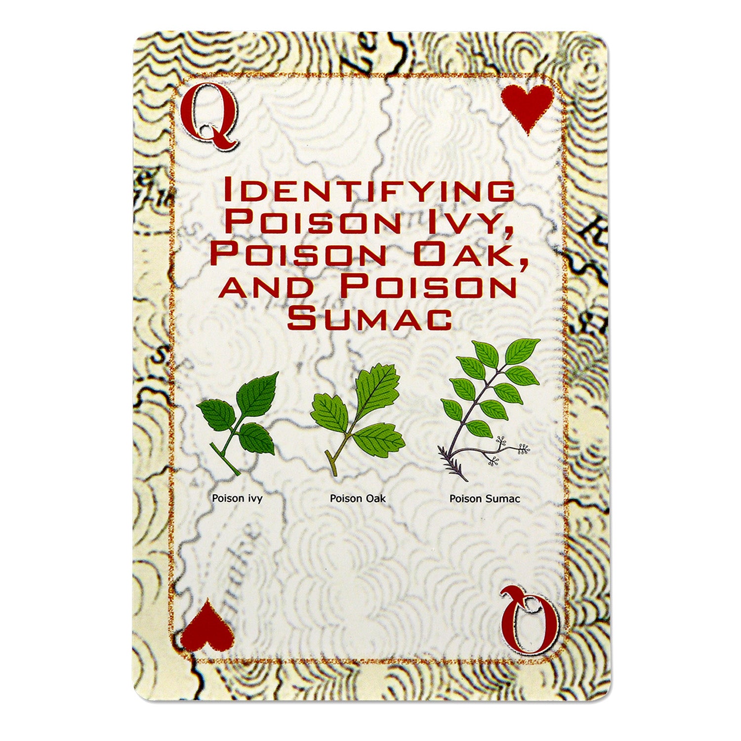 Deck of Survival Playing Cards