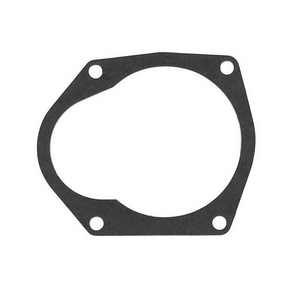Sierra Water Pump Gasket