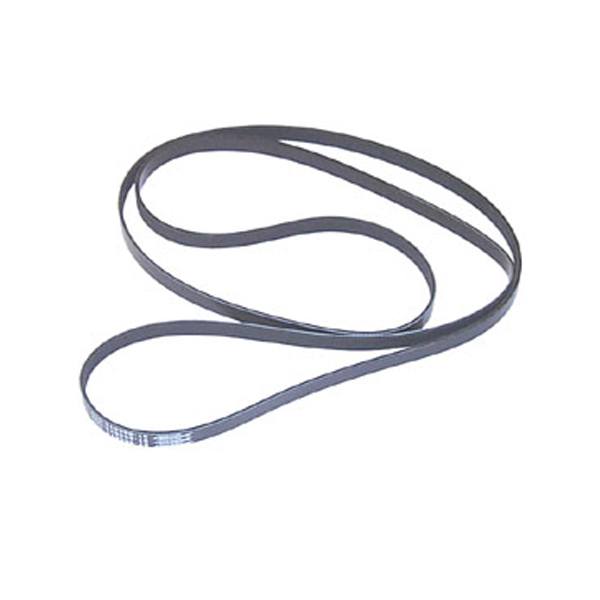 Sierra Serpentine Belt