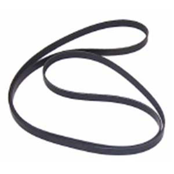 Sierra Serpentine Belt