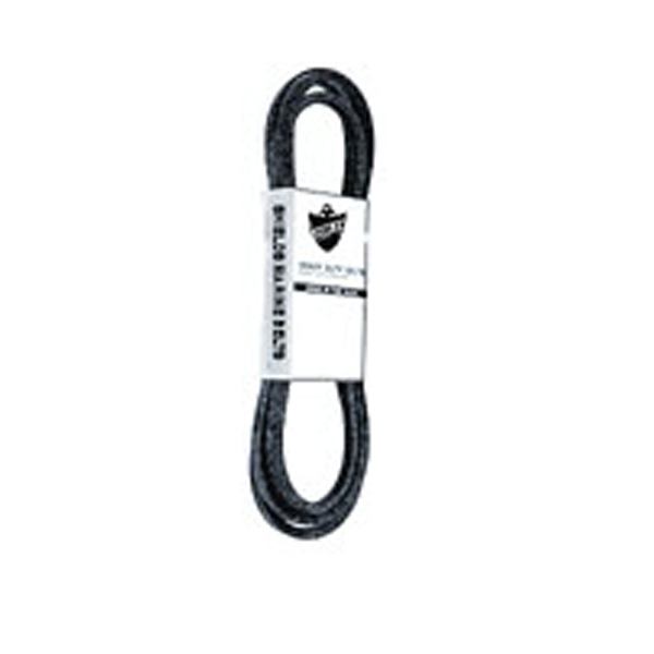 Sierra Serpentine Belt