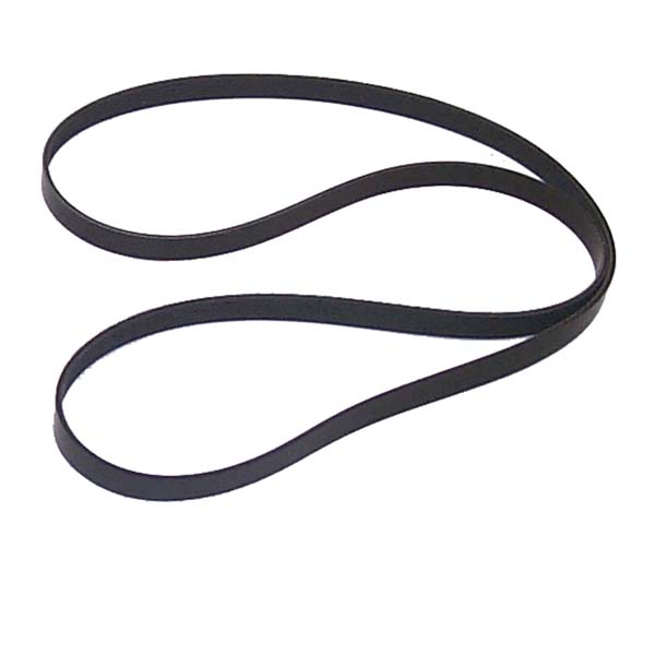 Sierra Serpentine Belt